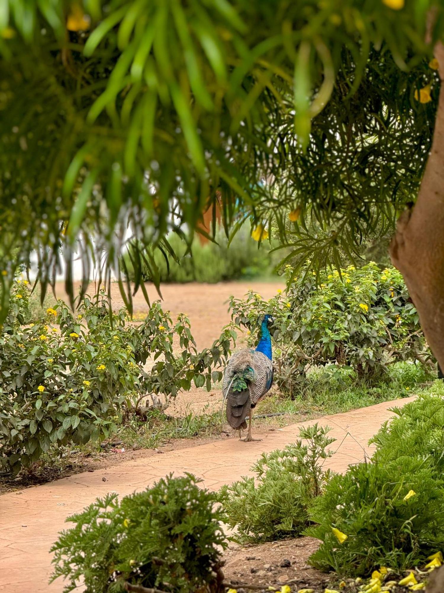 Lunja Village - Agadir Imi Ouaddar Exterior photo